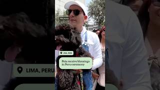 Peruvians line up to get pets blessed  ABC NEWS [upl. by Alad]