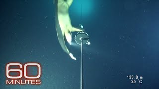 Alexey Molchanov’s world record dive [upl. by Milly]