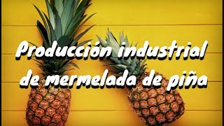 Producción industrial de mermelada de piña 🍍 [upl. by Abott144]