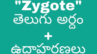 zygote meaning in telugu with examples meaningintelugu [upl. by Gan]