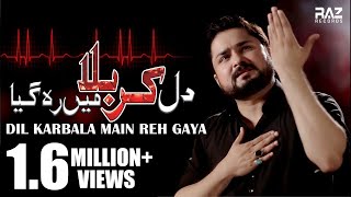 DIL KARBALA MAIN REH GAYA  New HD Noha 2018 20191440  Syed Raza Abbas Zaidi Nohay 2019 [upl. by Niven]