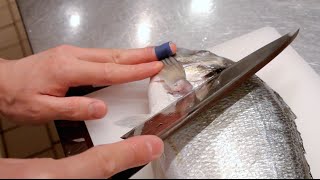 GRAPHIC  How to fillet a fish  Sea bream  Japanese technique  クロダイのさばき方 [upl. by Ekez363]