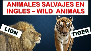 ANIMALES SALVAJES en INGLÉS [upl. by Egerton]