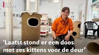 Dierenasiels zitten zo vol dat ze geen nieuwe katten meer toelaten  RTV Utrecht [upl. by Cyler276]