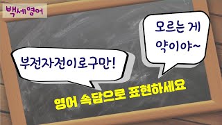 중급 영어속담을 이용해서 재치있게 표현하세요  사돈 남말 하듯  백문이 불여일견  짚신도 짝이 있다 [upl. by Reiniar]