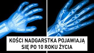 24 powody dla których ludzkie ciało jest naprawdę wyjątkowe [upl. by Hugibert298]