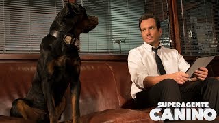 SUPERAGENTE CANINO Un héroe como Max Ya en cines [upl. by Elnar]