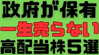 【最強銘柄】財務大臣や経済産業大臣が3割以上株を保有する日本株銘柄！これをとりあえず買っとけば間違いなし！ [upl. by Erdda371]