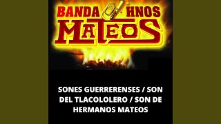 Sones Guerrerenses  Son del Tlacololero  Son de Hermanos Mateos [upl. by Venus707]