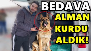 ÜCRETSİZ ALMAN KURDU ALDIK  HEMDE 2 TANE [upl. by Rafaj]