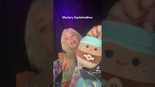 ￼Mystery Squad Squishmallow ASMR Blind Bag Unboxing swugasmr collector satisfying [upl. by Mari]