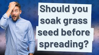 Should you soak grass seed before spreading [upl. by Far727]