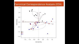 canonical correspondence analysis  CCA Past Software [upl. by Babita]