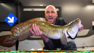 24 Hour Glow Challenge Ice Fishing Burbot amp Walleye [upl. by Mcginnis]