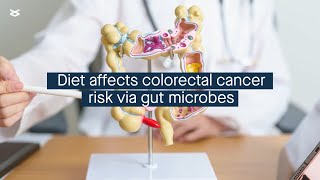 Diet drives colorectal cancer risk through its effects on gut microbes [upl. by Edveh]