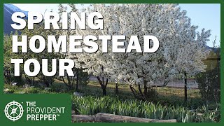 Building SelfReliance The Provident Preppers April Homestead Tour [upl. by Yand]