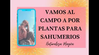 Cómo hacer SAHUMERIOS artesanales paso a paso  FÁCILES Y GRATIS 🌿🌿🌿 [upl. by Toolis]