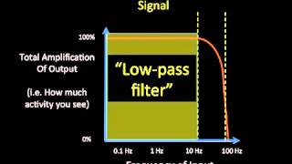 5 Technical Issues in EEG [upl. by Hedwig879]