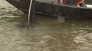 Channel Catfish  Grand River Dunnville ON Part 3 of 4 [upl. by Assenab]