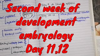 Second week of development embryology  Day 1112 Events  embryology in UrduHindi  2020 [upl. by Dennis160]