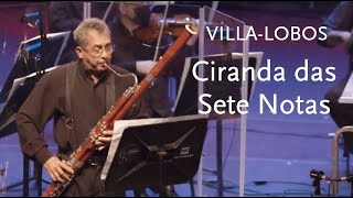 Ciranda das Sete Notas • VillaLobos • Petrobras Symphony Orchestra [upl. by Favianus]