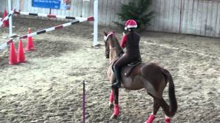 Gymkhana Dagmersellen Sindy 06 12 15 [upl. by Ekud444]