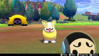 Yamper In Camp  Pokemon Sword amp Shield [upl. by Airottiv]