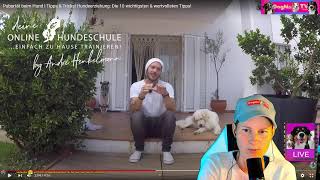 Pubertät beim Hund I Tipps amp Tricks Hundeerziehung 10 wichtige amp wertvolle Tipps Reaction DogMa [upl. by Sunev]