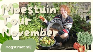 Moestuin TOUR November  Laatste oogst verzamelen tomaten bonen pepers en paprika [upl. by Areip]