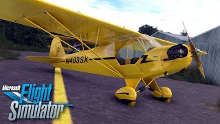 STUNNING CAS J3 Cub  Early Preview  MSFS [upl. by Nilcaj]