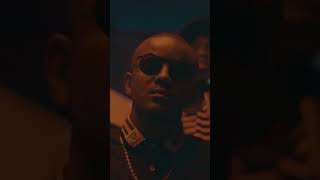 Young Stunna ft kabza de small amp Dj maphorisa  Adiwele music video [upl. by Domini]