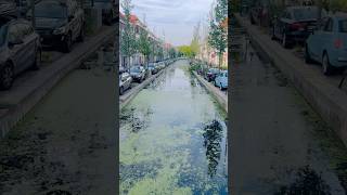 Delft Netherlands delft netherlands netherlandstourism europe nature shorts viralvideo [upl. by Wanonah]