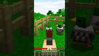 Esconde esconde pato minecraft [upl. by Zel]