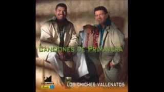 los chiches del vallenato  amemonos [upl. by Osyth]