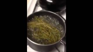 How to make Cerasee Tea [upl. by Manas671]