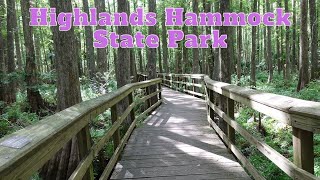 Highlands Hammock State Park Sebring Florida [upl. by Margaux53]