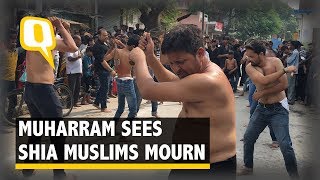 Watch the CenturiesOld Mourning Practice of Shia During Muharram  The Quint [upl. by Ihdin]