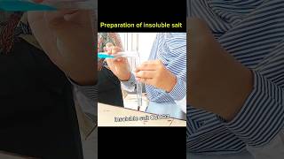 Insoluble salt Preparation Class 10 [upl. by Aidni]