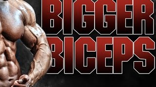 How To Build Bigger Biceps with the Athlean X Biceps Blast [upl. by Neona]