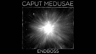 Caput Medusae  Endboss [upl. by Barrus243]