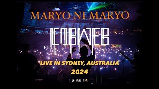 Cobweb  Maryo Ni Maryo Live In Sydney Australia 2024 [upl. by Bilski]