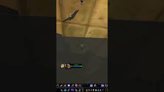 Secret new tech to do the beer quest in Wetlands to Arathi  Never before seen  Classic Era [upl. by Ardnait]