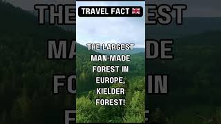 Explore Europe’s Largest ManMade Forest in the UK [upl. by Rebm]