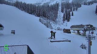 Schweitzer Webcam The Village [upl. by Sunda695]