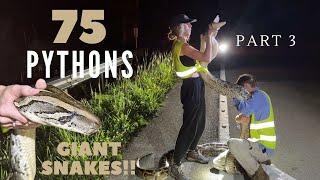 Hunting Pythons for 40 Nights in a row part 3 [upl. by Dugaid]