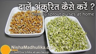 How to Sprout pulses at home   दालों को अंकुरित करें । How to Sprout Lentils [upl. by Schaefer]