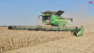 50ft JOHN DEERE HD50R Draper Harvesting Soybeans [upl. by Rothmuller14]