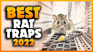 Top 5 Best Rat Traps You can Buy Right Now 2023 [upl. by Sweatt]