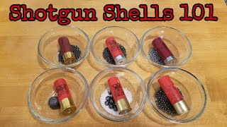 Shotgun Shells 101 [upl. by Aisset564]