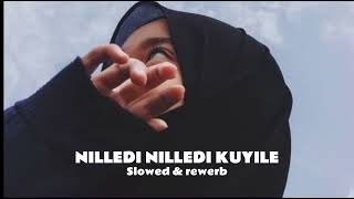 Nilledi nilledi kuyile Slowed amp reverb [upl. by Suzi530]